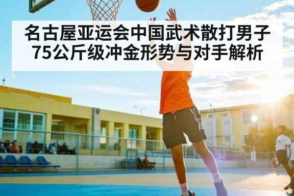 名古屋亚运会中国武术散打男子75公斤级冲金形势与对手解析 | kaiyun